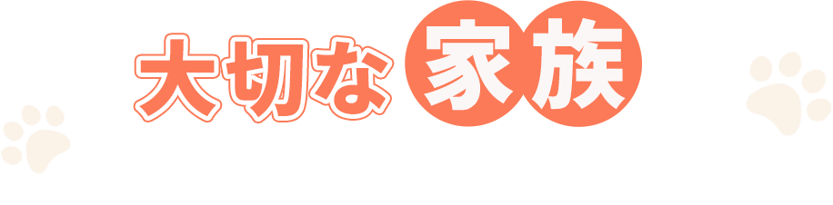 大切な家族と一緒に旅行をしませんか？